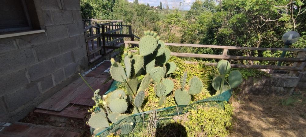 casa indipendente in vendita a Lucignano