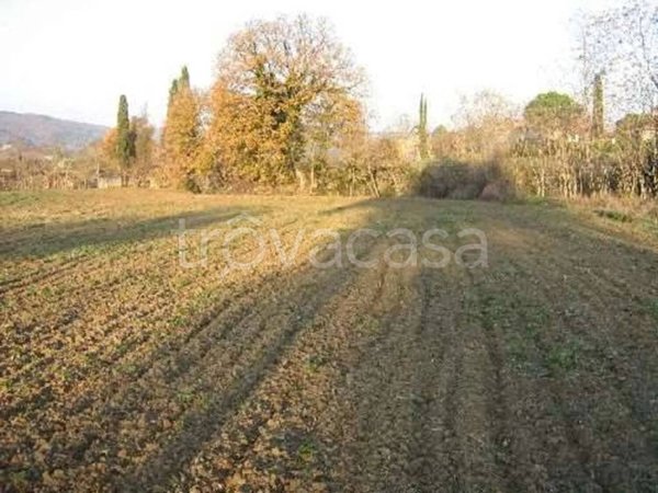 casa indipendente in vendita a Lucignano