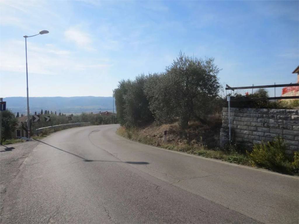terreno agricolo in vendita a Lucignano