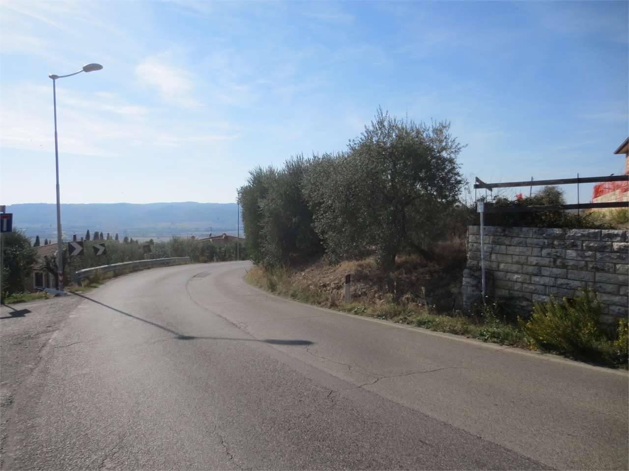 terreno agricolo in vendita a Lucignano