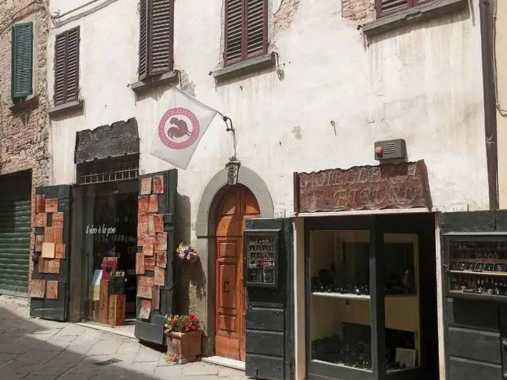 casa indipendente in vendita a Lucignano