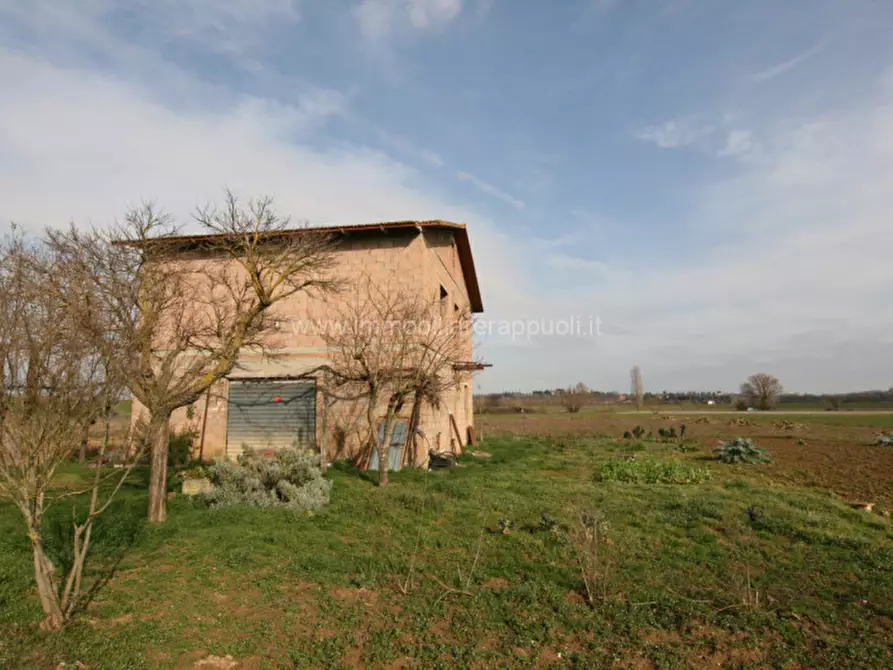 casa indipendente in vendita a Lucignano
