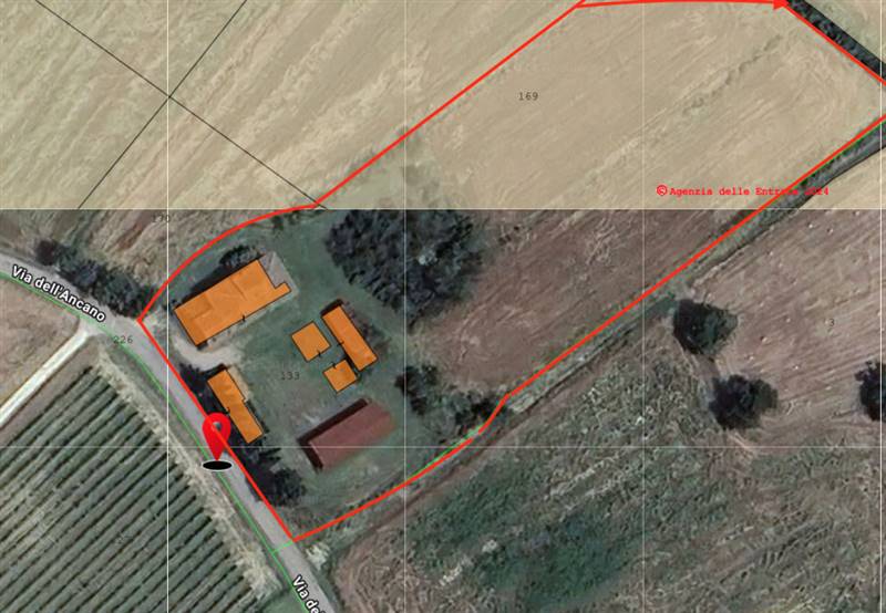 azienda agricola in vendita a Lucignano