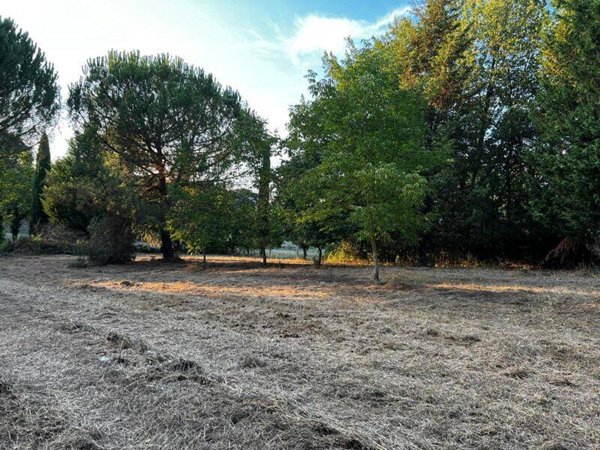 terreno agricolo in vendita a Lucignano