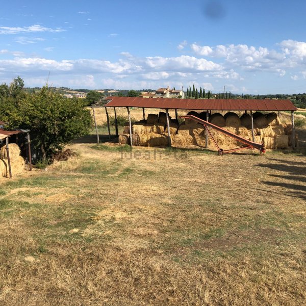 casale in vendita a Lucignano