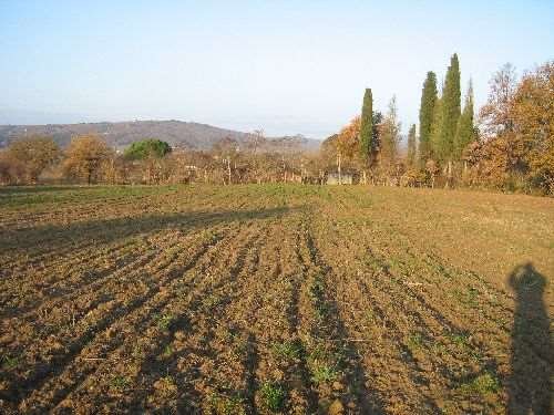 casa indipendente in vendita a Lucignano