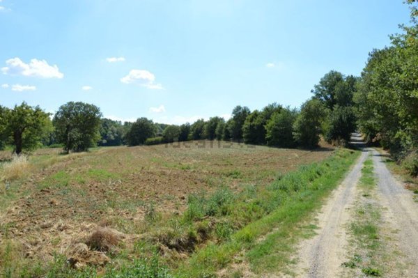 casale in vendita a Lucignano