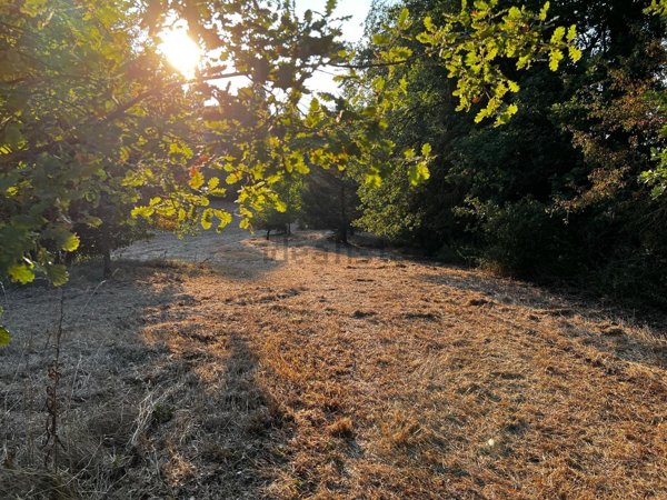 terreno agricolo in vendita a Lucignano