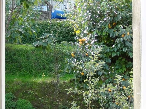 casa indipendente in vendita a Lucignano