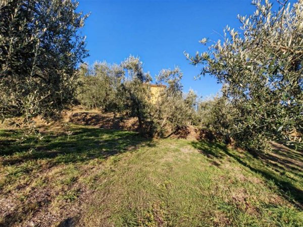 casa indipendente in vendita a Lucignano