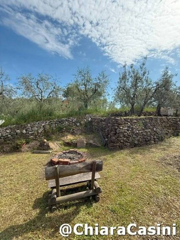terreno agricolo in vendita a Lucignano
