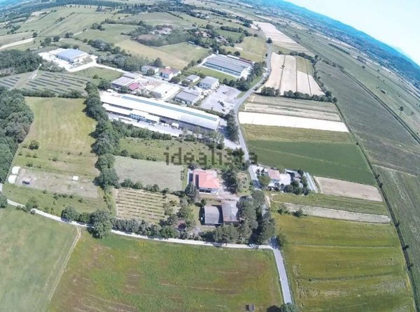 terreno edificabile in vendita a Lucignano