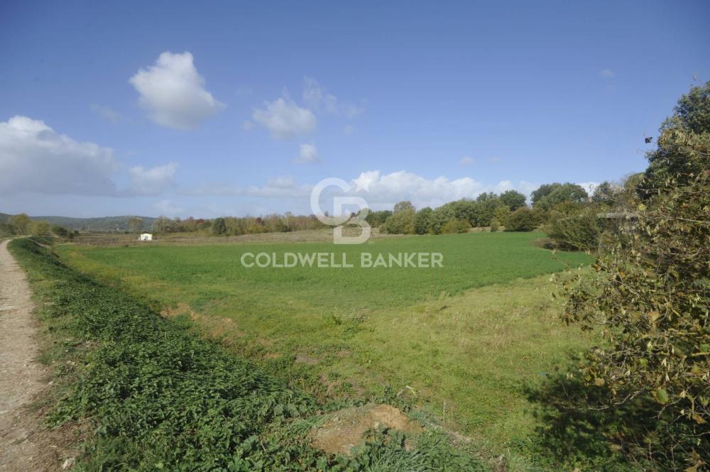 terreno agricolo in vendita a Lucignano