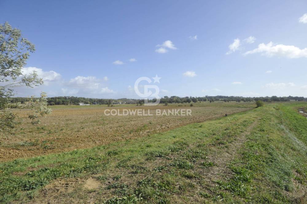 terreno agricolo in vendita a Lucignano