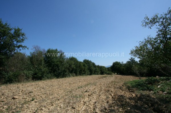 casale in vendita a Lucignano