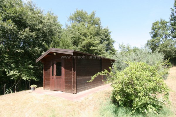 terreno in vendita a Lucignano