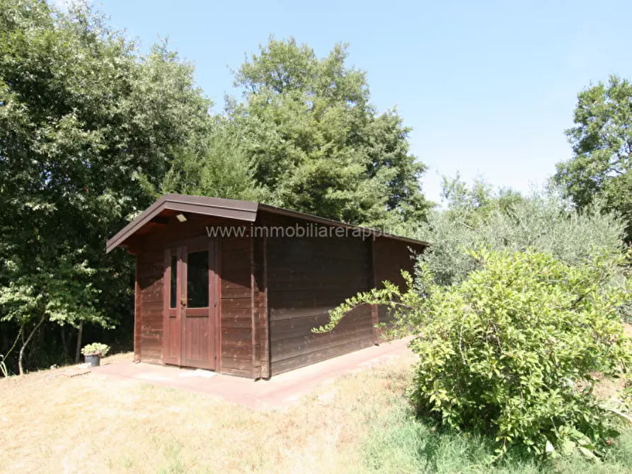 terreno in vendita a Lucignano