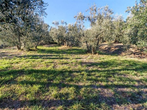casa indipendente in vendita a Lucignano
