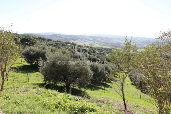 casa indipendente in vendita a Marciano della Chiana