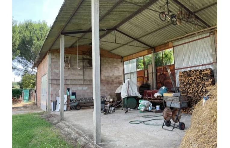 casa indipendente in vendita a Marciano della Chiana