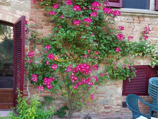 negozio in vendita a Marciano della Chiana