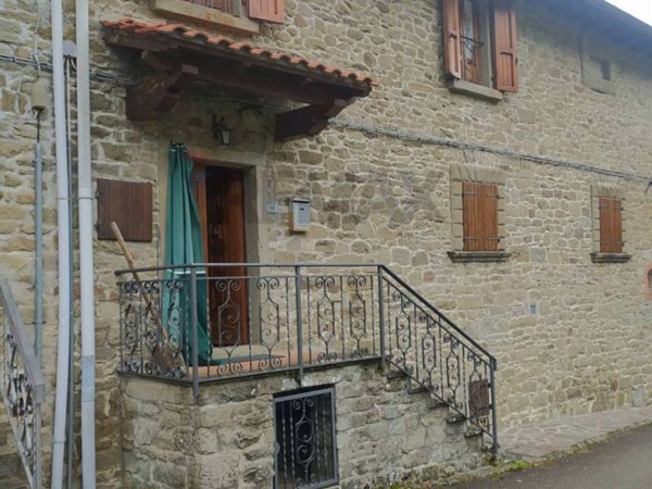 casa indipendente in vendita a Montemignaio in zona Cameronci