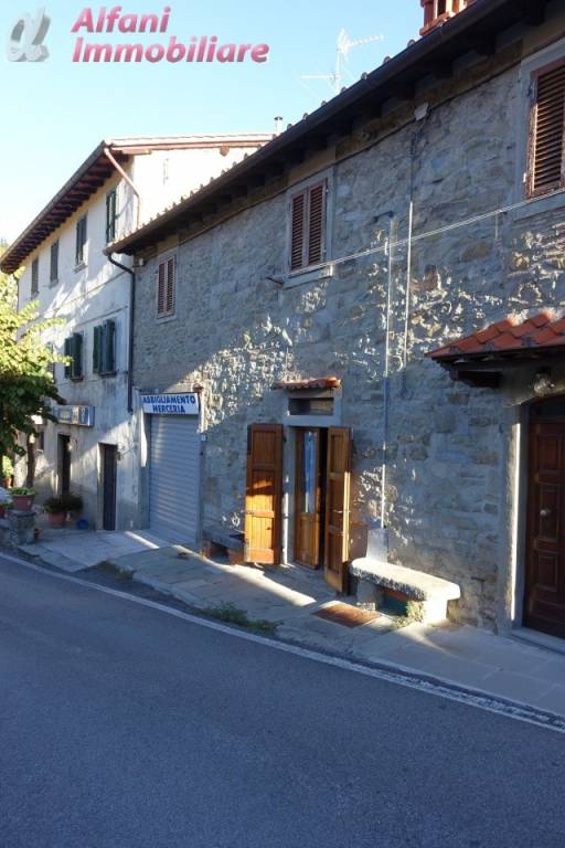 casa indipendente in vendita a Montemignaio