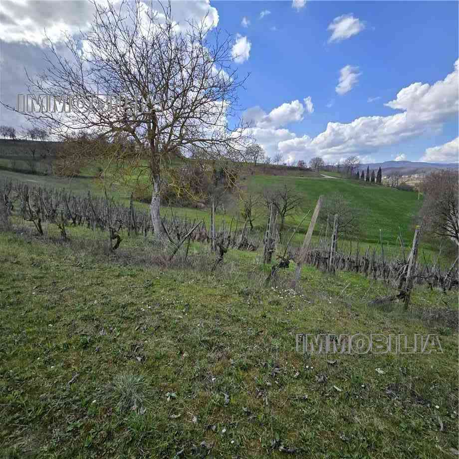 locale di sgombero in vendita a Monterchi