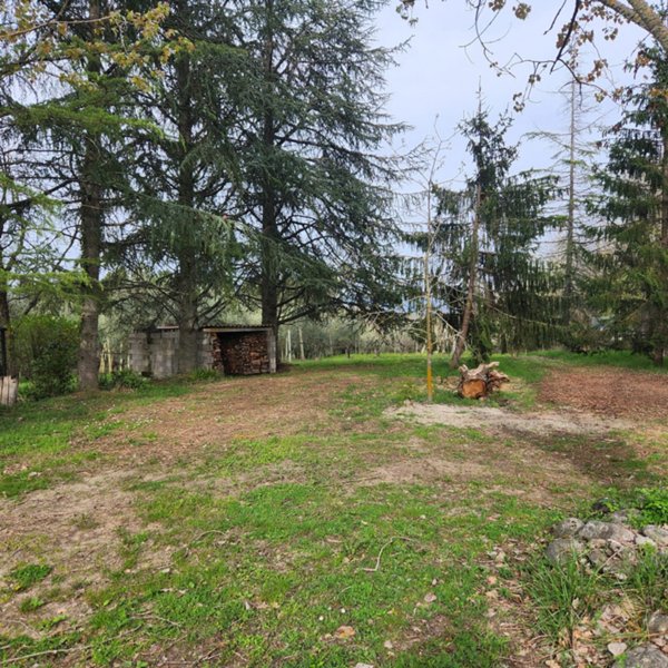 casa indipendente in vendita a Monterchi