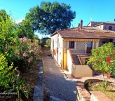 casa indipendente in vendita a Monte San Savino