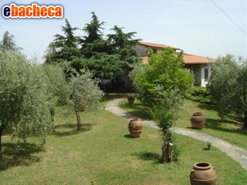 appartamento in vendita a Monte San Savino