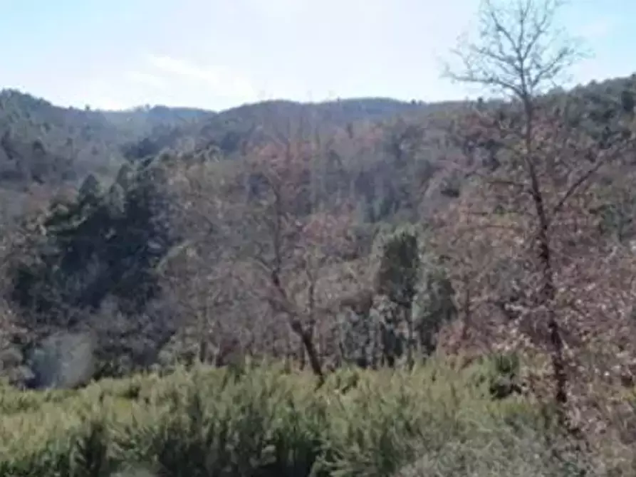 terreno agricolo in vendita a Monte San Savino