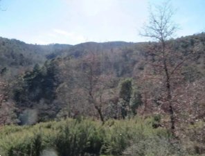 terreno agricolo in vendita a Monte San Savino