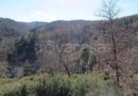 appartamento in vendita a Monte San Savino