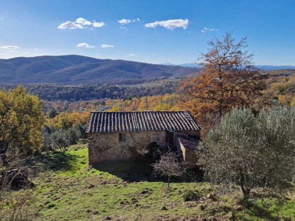 casa indipendente in vendita a Monte San Savino