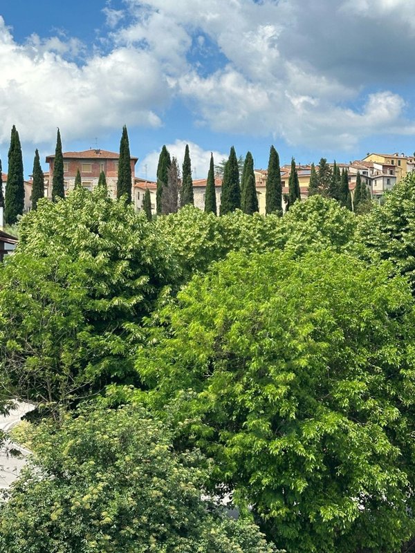 appartamento in vendita a Monte San Savino