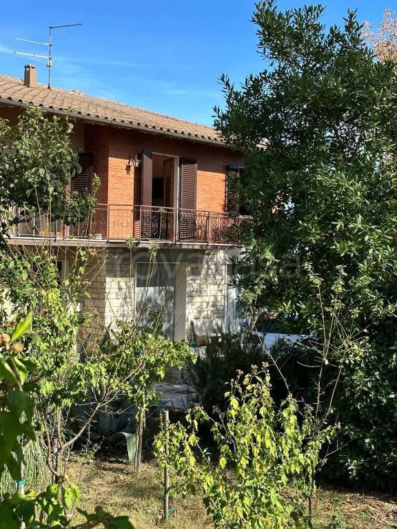 casa indipendente in vendita a Monte San Savino