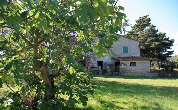 casa indipendente in vendita a Monte San Savino