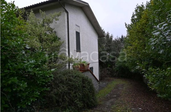 casa indipendente in vendita a Monte San Savino