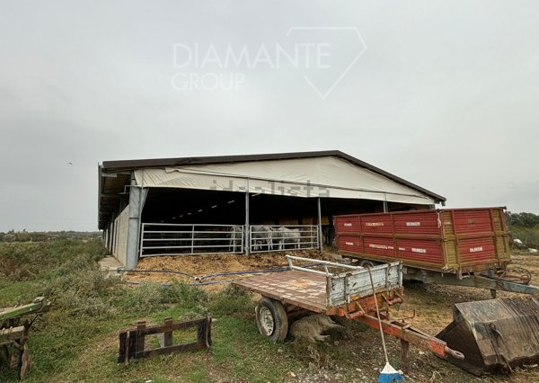 casa indipendente in vendita a Monte San Savino