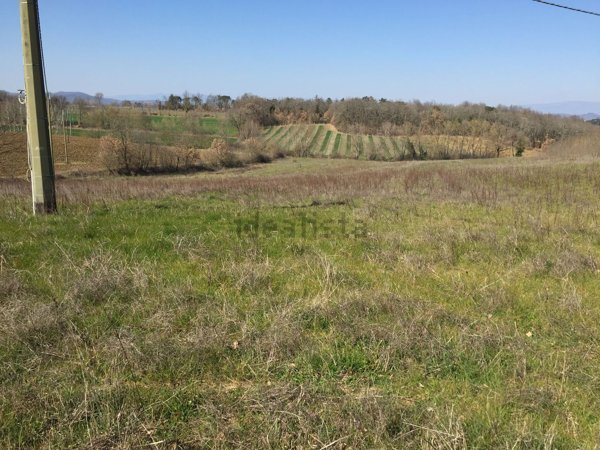 azienda agricola in vendita a Monte San Savino in zona Alberoro