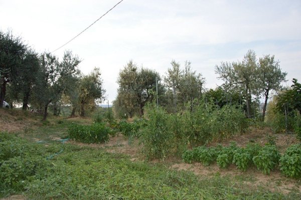 casa indipendente in vendita a Monte San Savino