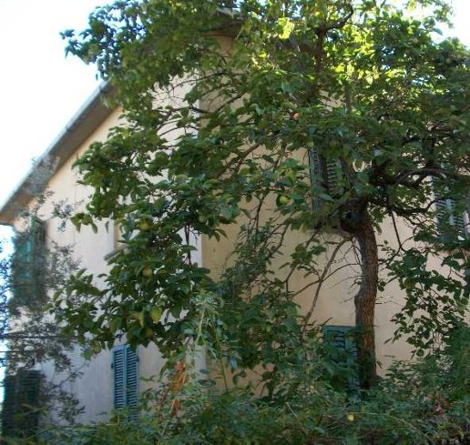 casa indipendente in vendita a Monte San Savino