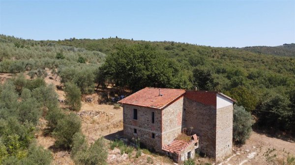 esavano in vendita a Monte San Savino