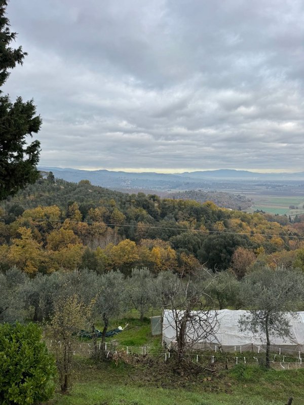 appartamento in vendita a Monte San Savino