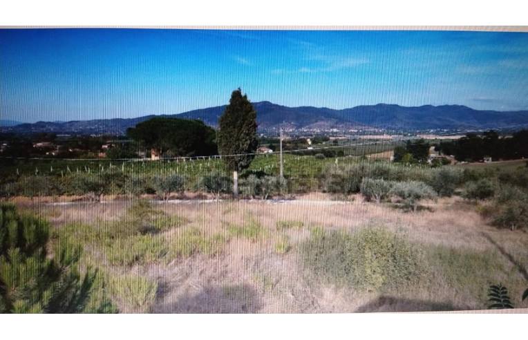 casa indipendente in vendita a Monte San Savino