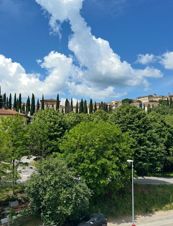 appartamento in vendita a Monte San Savino