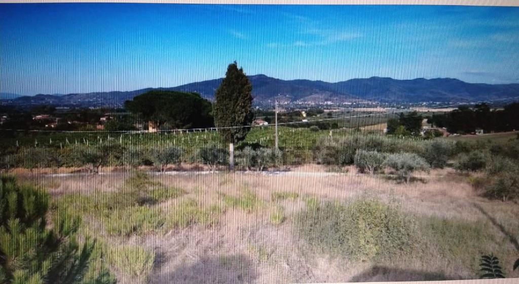casa indipendente in vendita a Monte San Savino