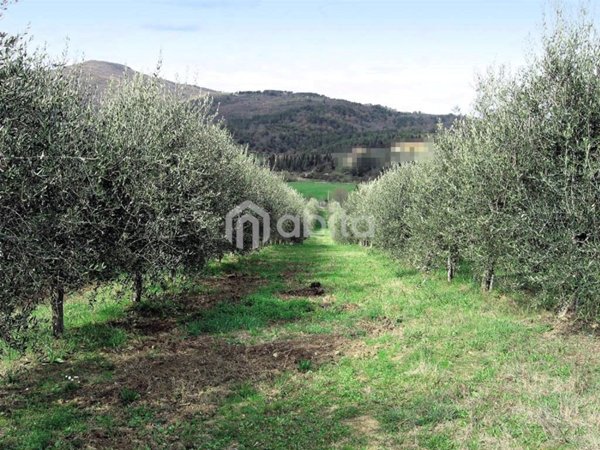 terreno agricolo in vendita a Montevarchi in zona Moncioni
