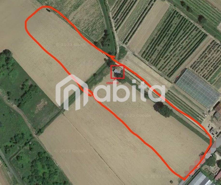 terreno agricolo in vendita a Montevarchi